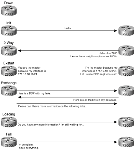ospf_handshake_sample-4264952496.png